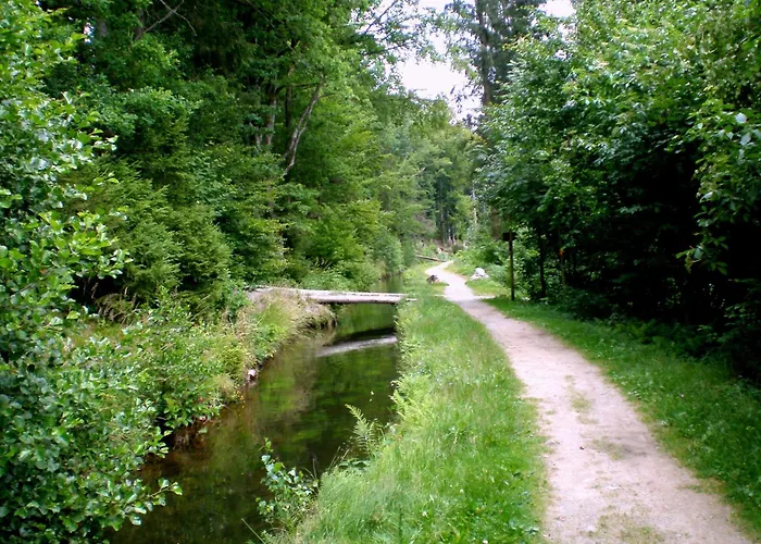 Gammerhof - Bauernhofurlaub In Waldkirchen