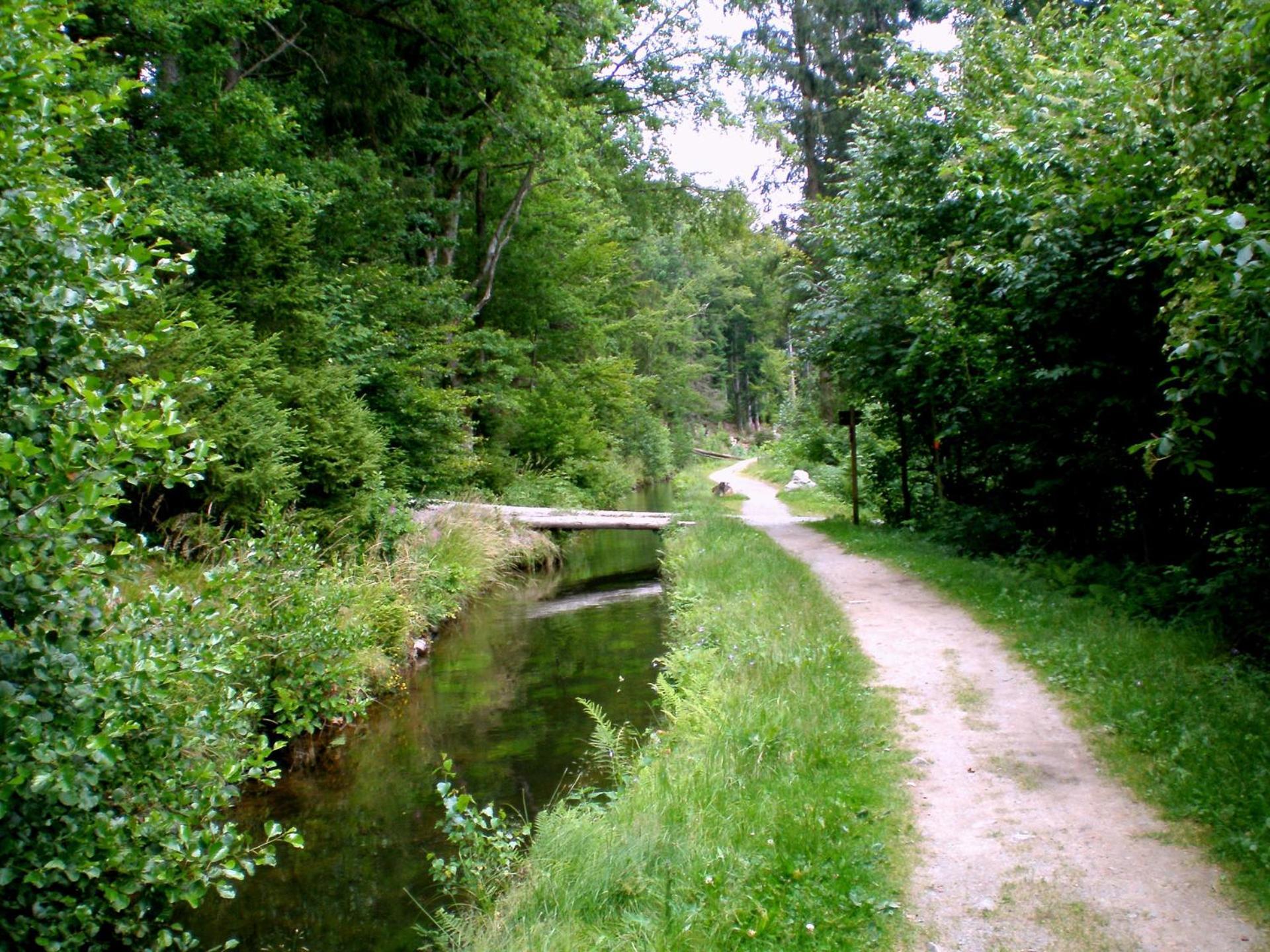 Gammerhof - Bauernhofurlaub In Appartement Waldkirchen